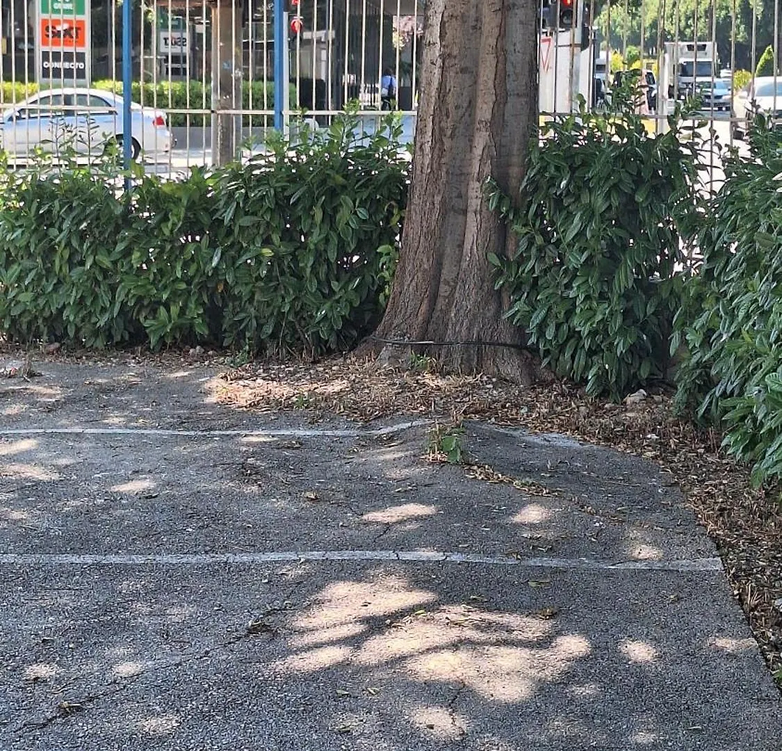 公寓 Studio Trstenik With Private Parking Space 斯普利特